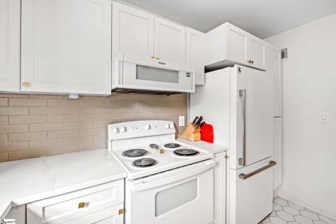 100 Lewis Drive Greenville SC 29605