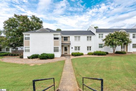 100 Lewis Drive Greenville SC 29605