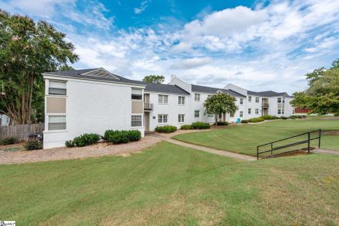 100 Lewis Drive Greenville SC 29605