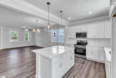 241 Willard Street Greenville SC 29611