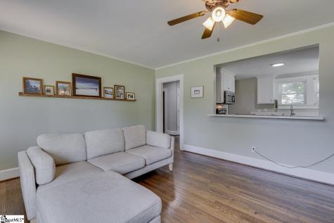 106 Vine Street Greenville SC 29609