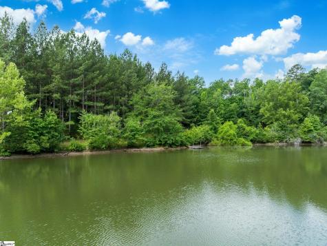 1527 S Blackstock Road Landrum SC 29356