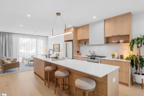 12 Elizabeth Street Greenville SC 29609