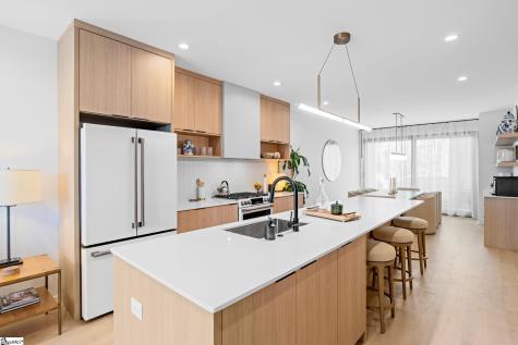 12 Elizabeth Street Greenville SC 29609
