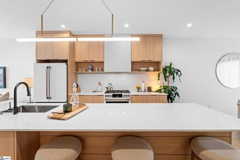 12 Elizabeth Street Greenville SC 29609