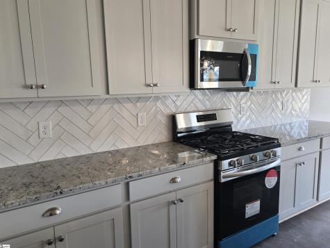 367 Alyssa Landing Drive Fountain Inn SC 29644