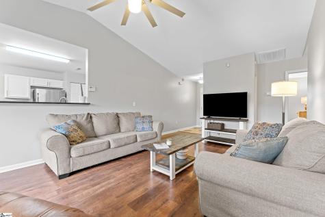 32 Reedy River Way Greenville SC 29605