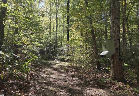 85 Cool Springs Church Road Travelers Rest SC 29690