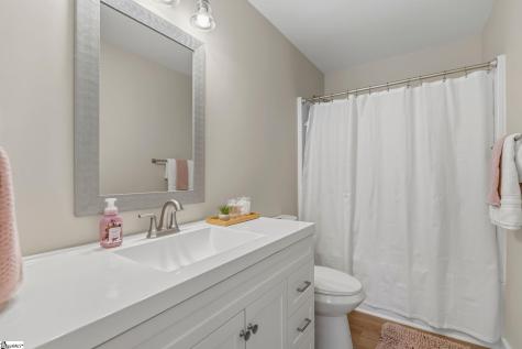 17 Springside Avenue Greenville SC 29611