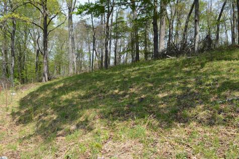 191 Flat Rock Hill Road Tryon NC 28782
