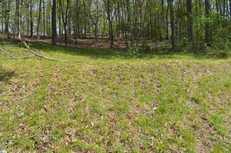 191 Flat Rock Hill Road Tryon NC 28782