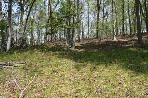 191 Flat Rock Hill Road Tryon NC 28782