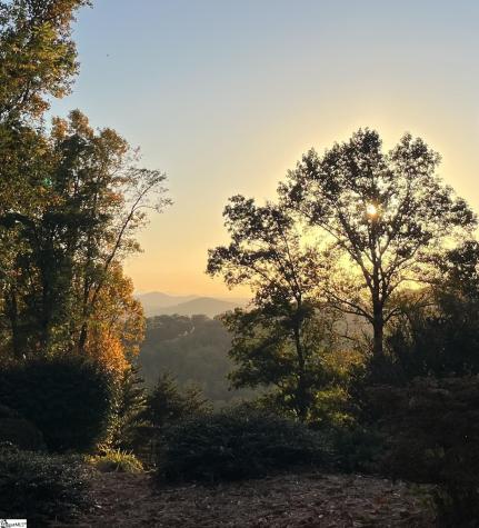 15 Grosbeak Way Landrum SC 29356