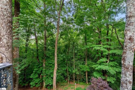 110 Panther Mountain Road Zirconia NC 28790