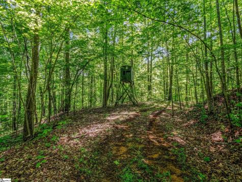 980 Mountain Forest Drive Union Mills NC 28167