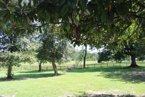 675 Old Mill Road Campobello SC 29322