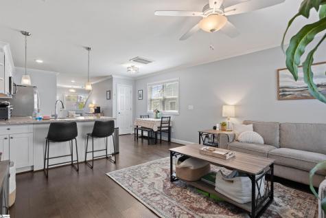 6 Chaney Street Greenville SC 29607