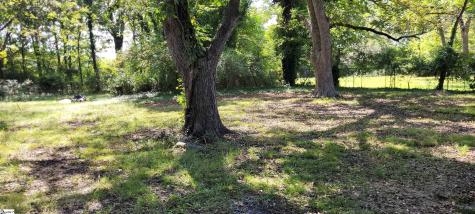 1611 Gary Street Clinton SC 29325