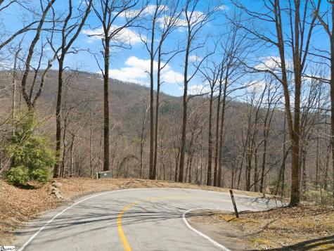 39 Panther Park Trail Travelers Rest SC 29690