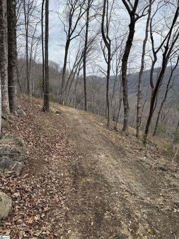 39 Panther Park Trail Travelers Rest SC 29690