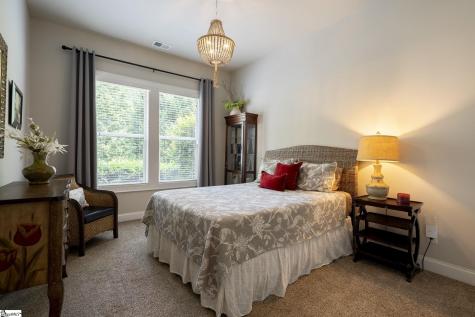 3 Wild Indigo Circle Greenville SC 29607
