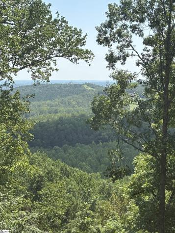 7 Angleblade Road Landrum SC 29356