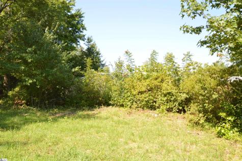 1183 Sandy Plains Road Tryon NC 28782