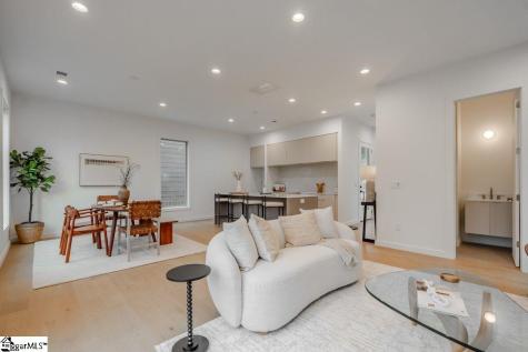 11 Mount Zion Avenue Greenville SC 29609