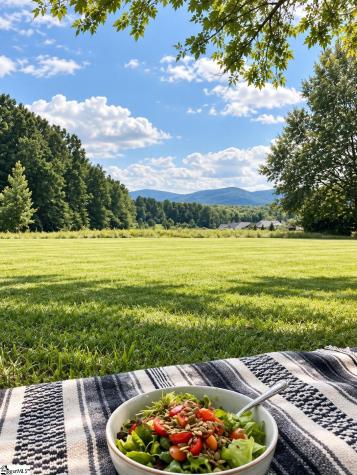 850 Tigerville Road Travelers Rest SC 29690