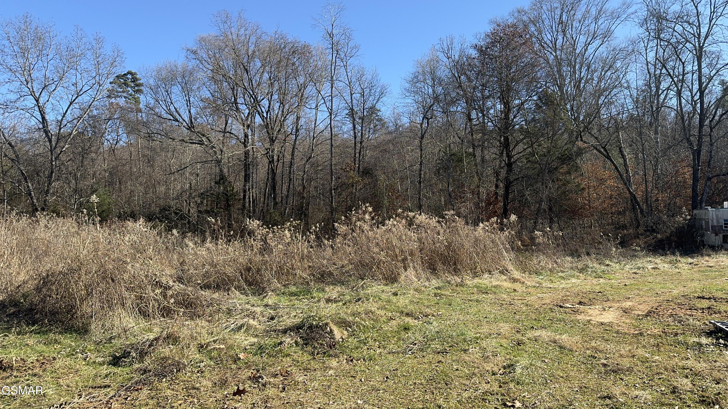 699 Cline Road Dandridge TN 37725