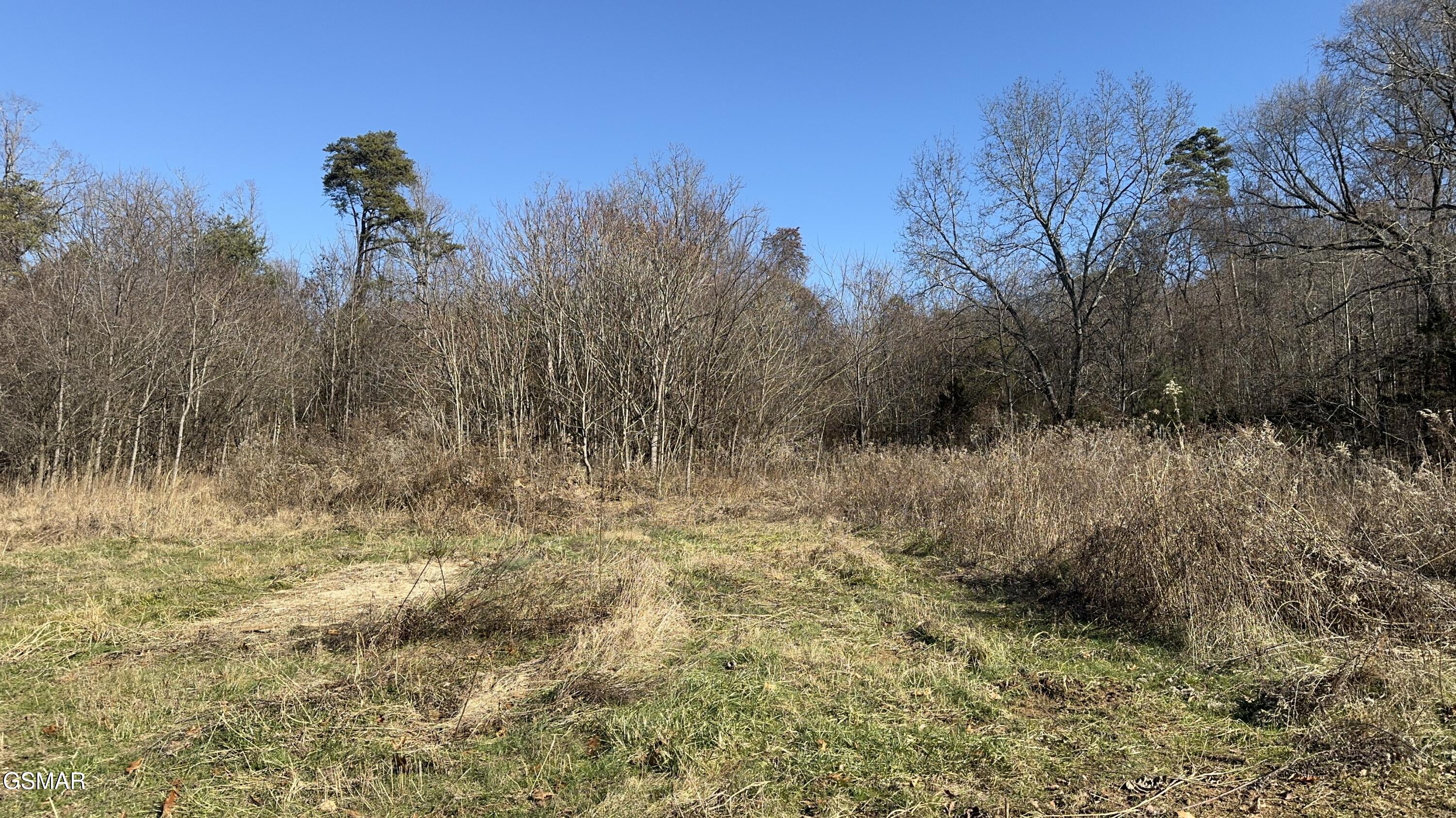 699 Cline Road Dandridge TN 37725