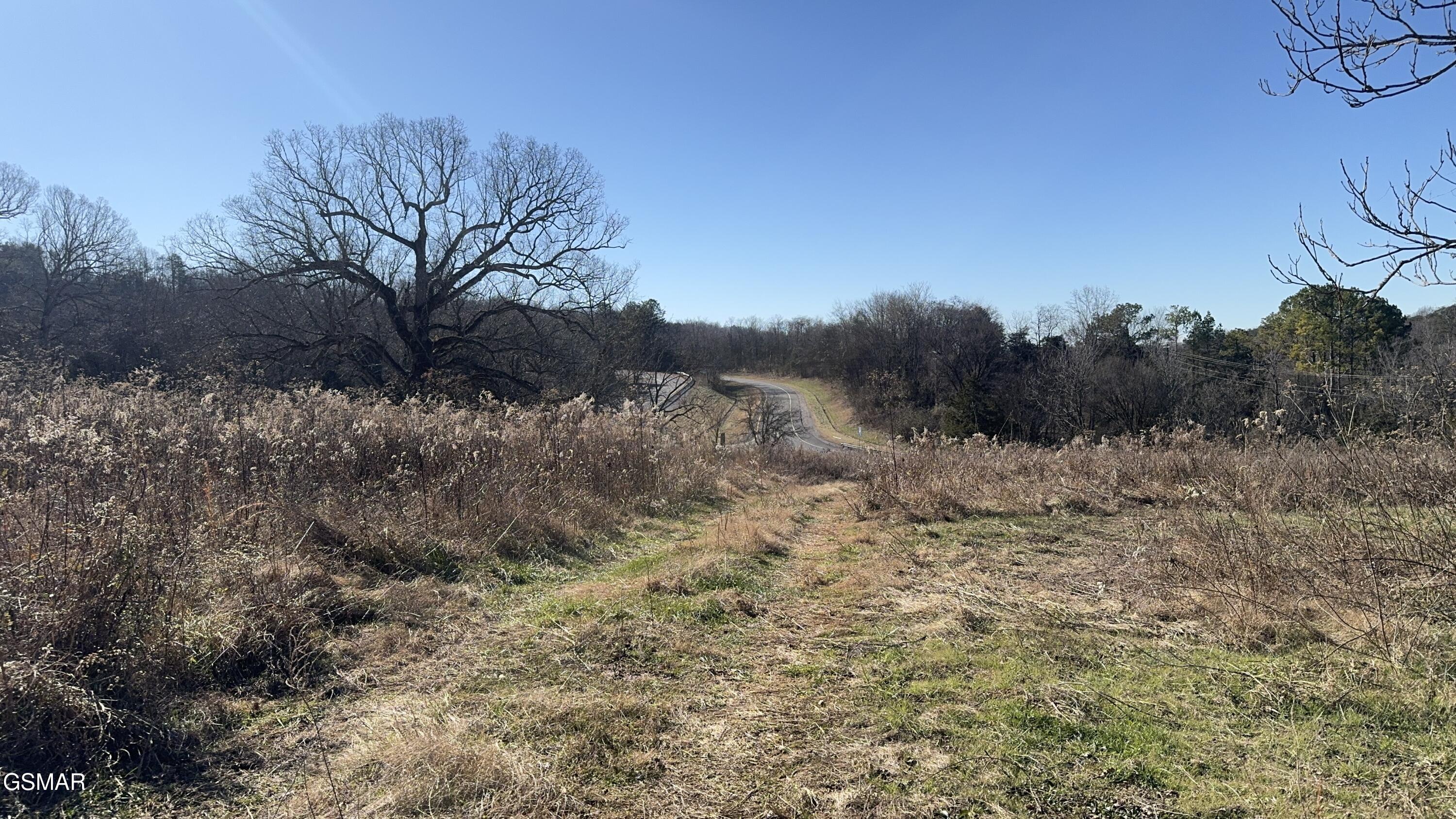 699 Cline Road Dandridge TN 37725