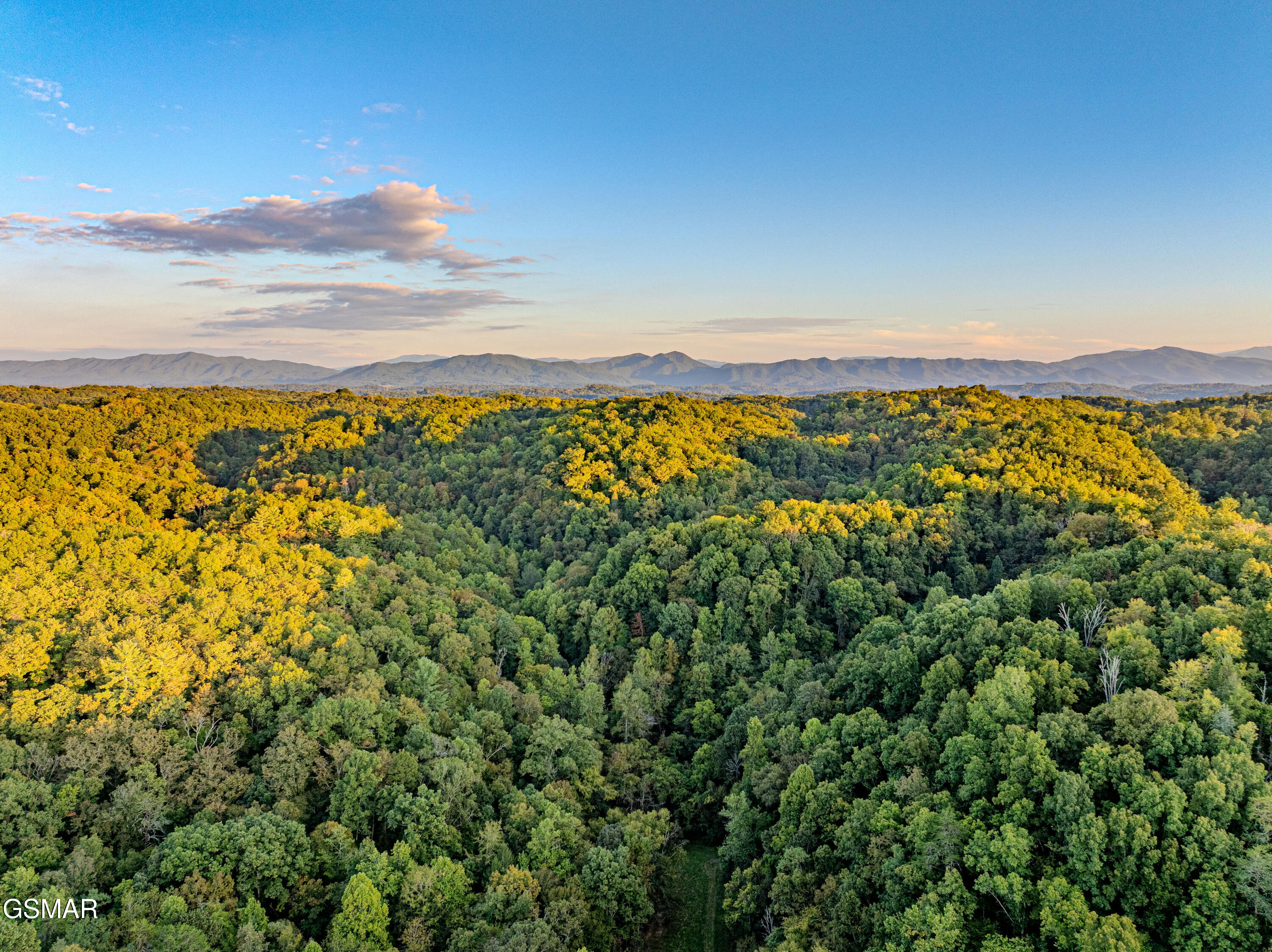 1155 Fowlers Grove Road Newport TN 37821