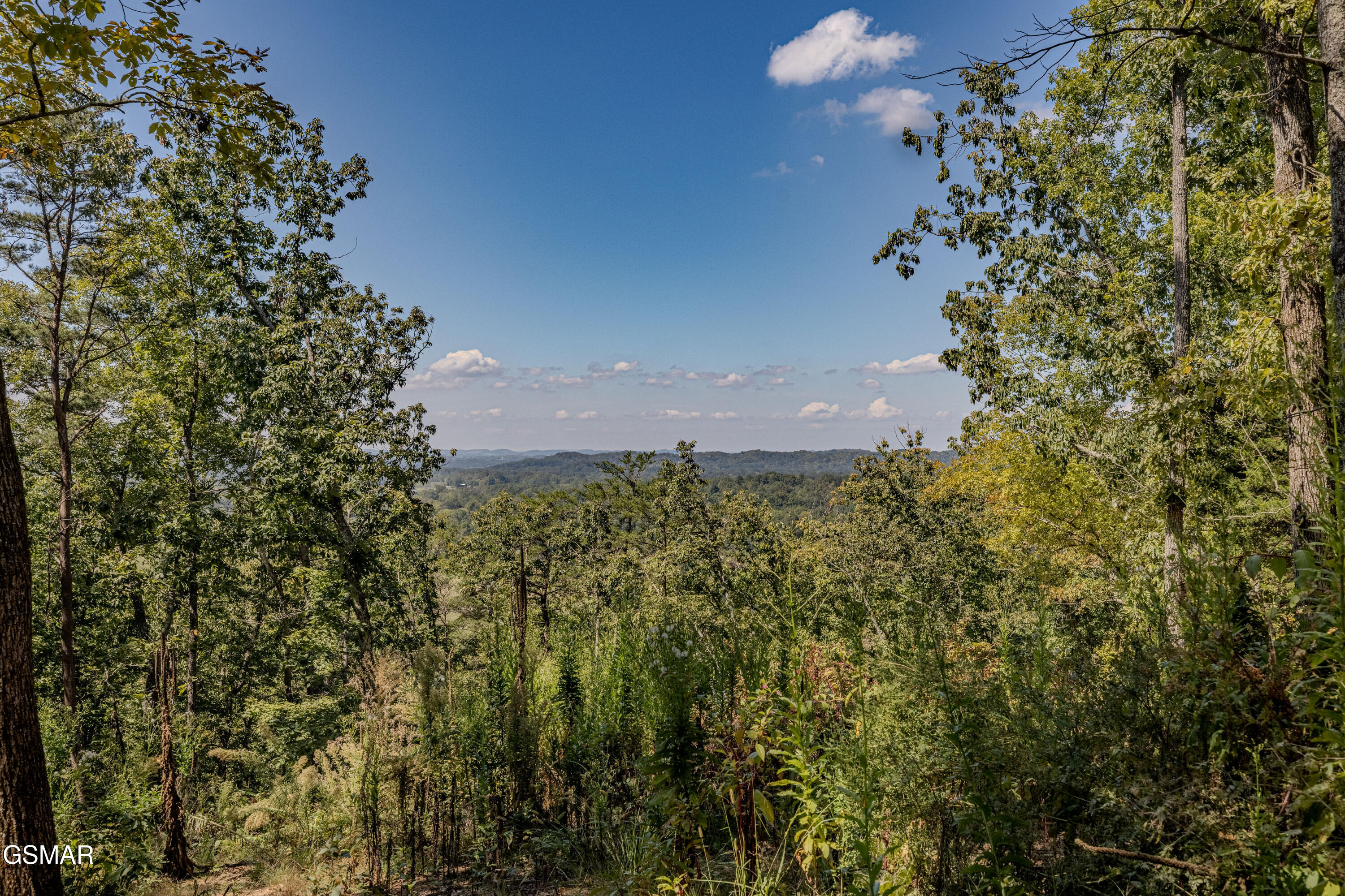 1155 Fowlers Grove Road Newport TN 37821