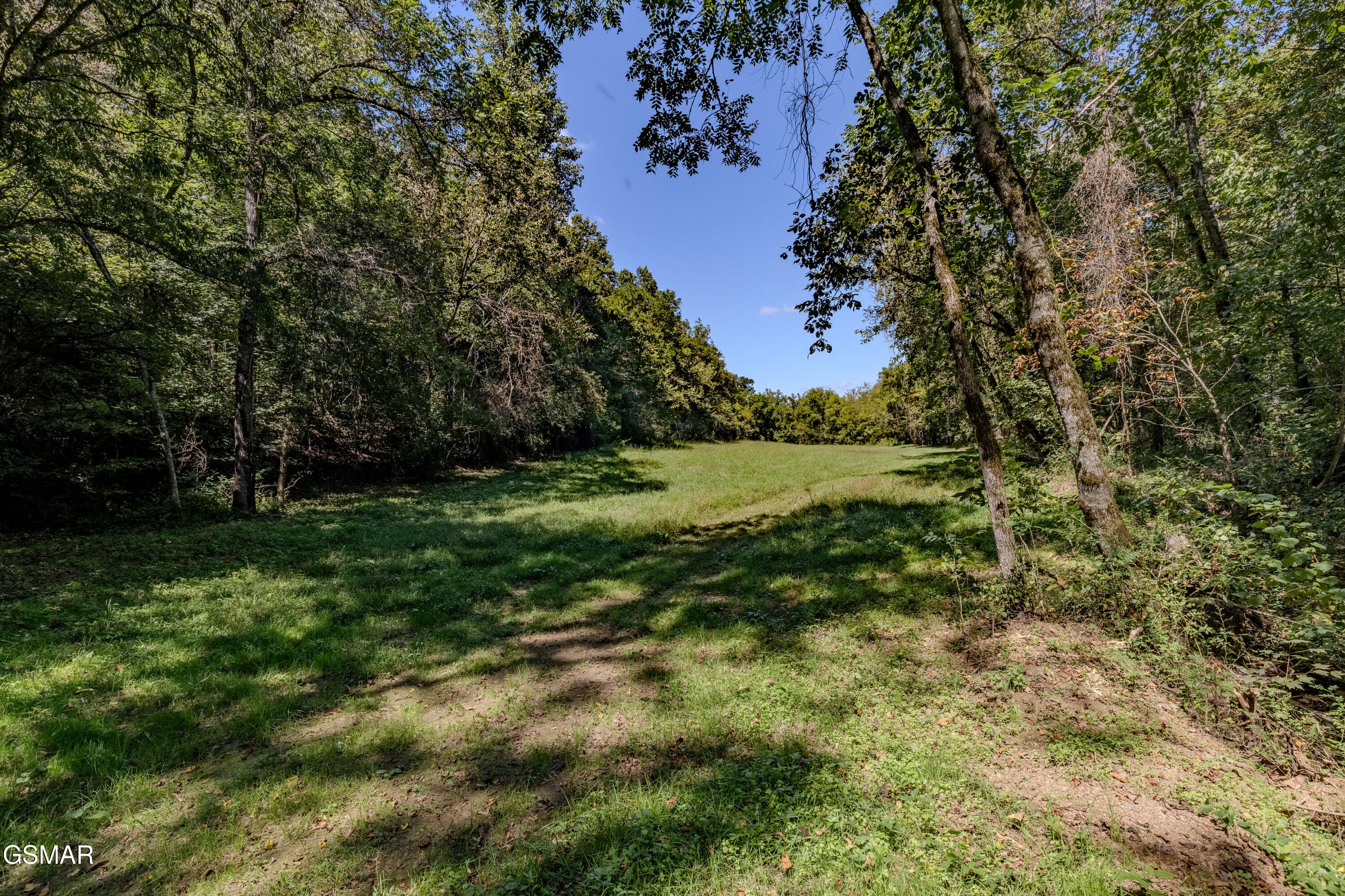 1155 Fowlers Grove Road Newport TN 37821
