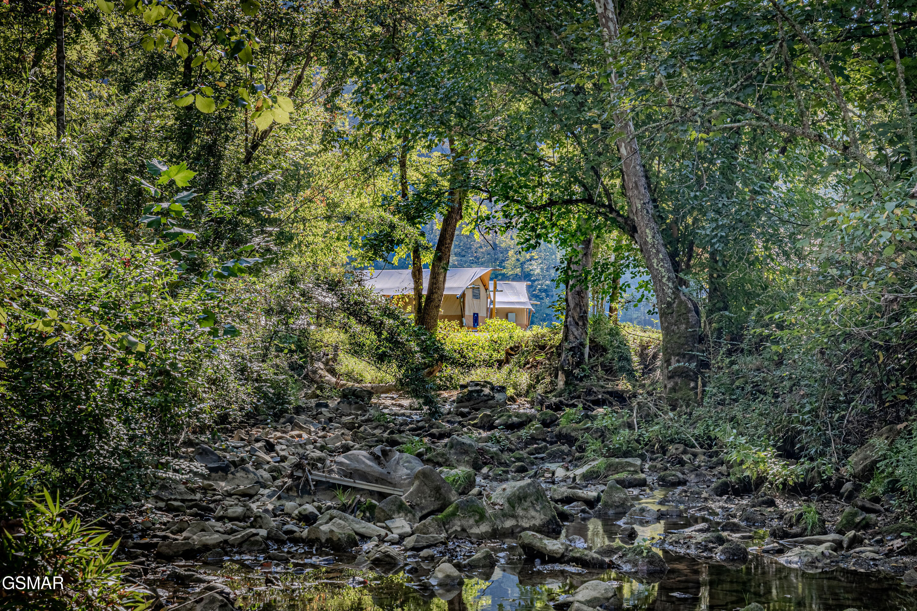 1155 Fowlers Grove Road Newport TN 37821