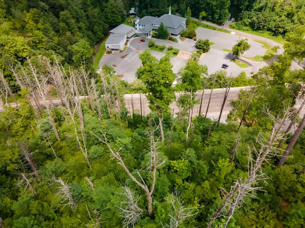 702 Parkway Gatlinburg TN 37738