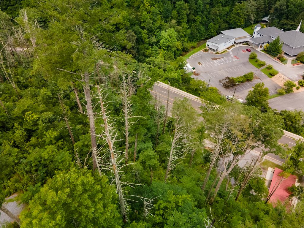 702 Parkway Gatlinburg TN 37738