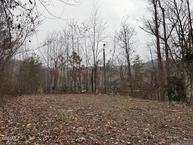 Gatlinburg TN, 204 Savage Garden Road