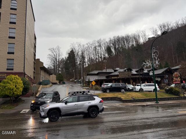 204 Savage Garden Road Gatlinburg TN 37738