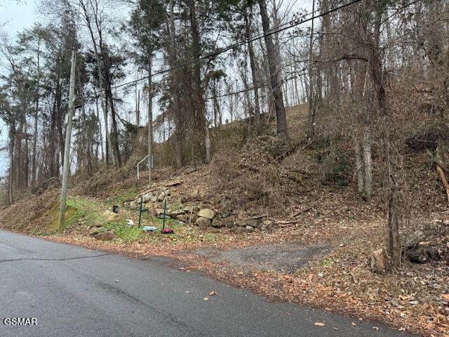 204 Savage Garden Road Gatlinburg TN 37738