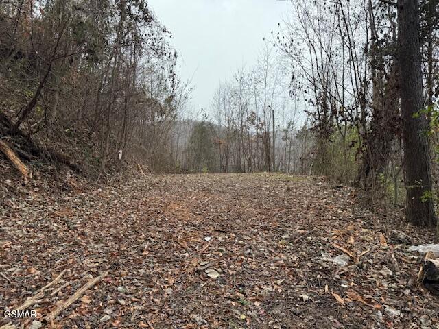 204 Savage Garden Road Gatlinburg TN 37738