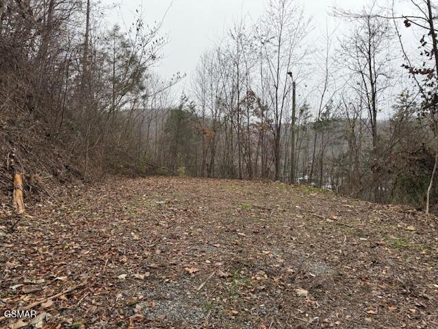 204 Savage Garden Road Gatlinburg TN 37738