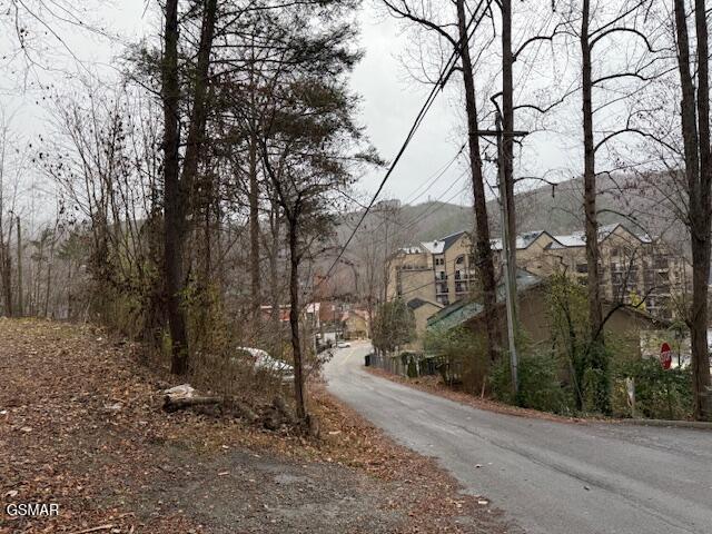 204 Savage Garden Road Gatlinburg TN 37738