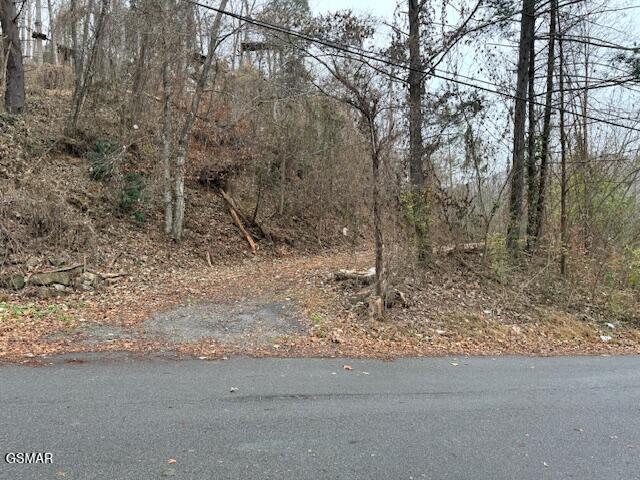 204 Savage Garden Road Gatlinburg TN 37738