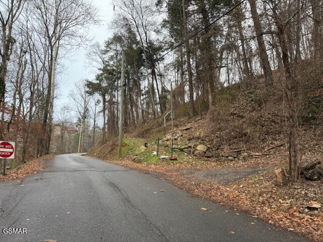 204 Savage Garden Road Gatlinburg TN 37738