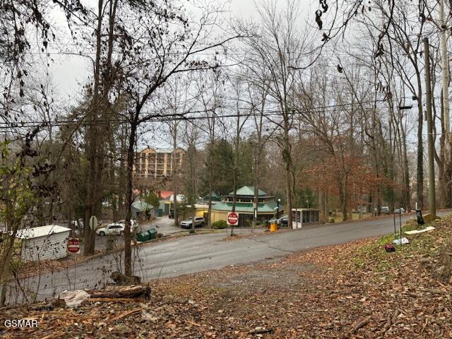 204 Savage Garden Road Gatlinburg TN 37738