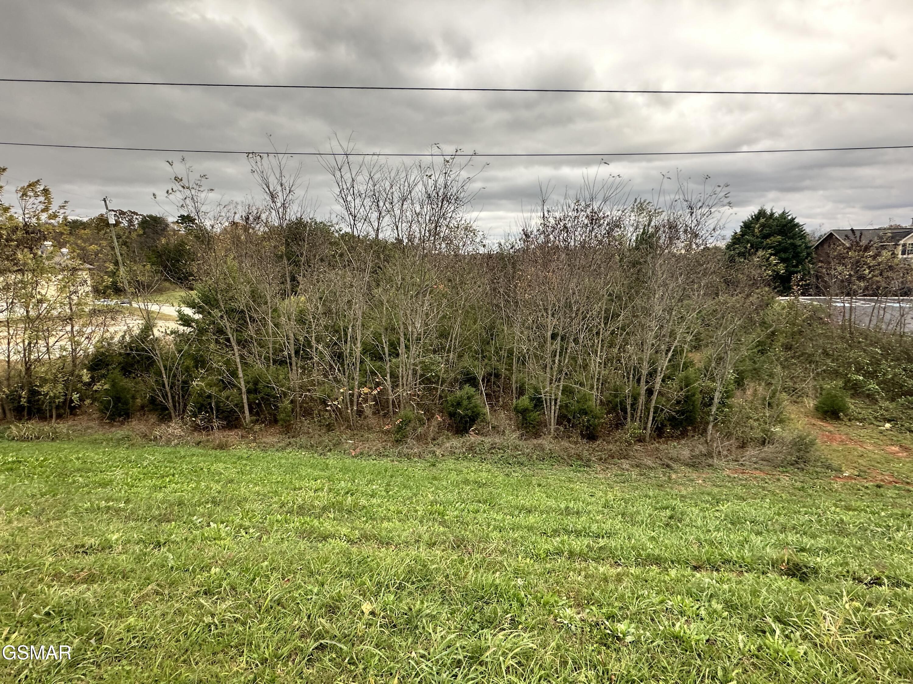 +-1.37 Ac Highway 92 Dandridge TN 37725