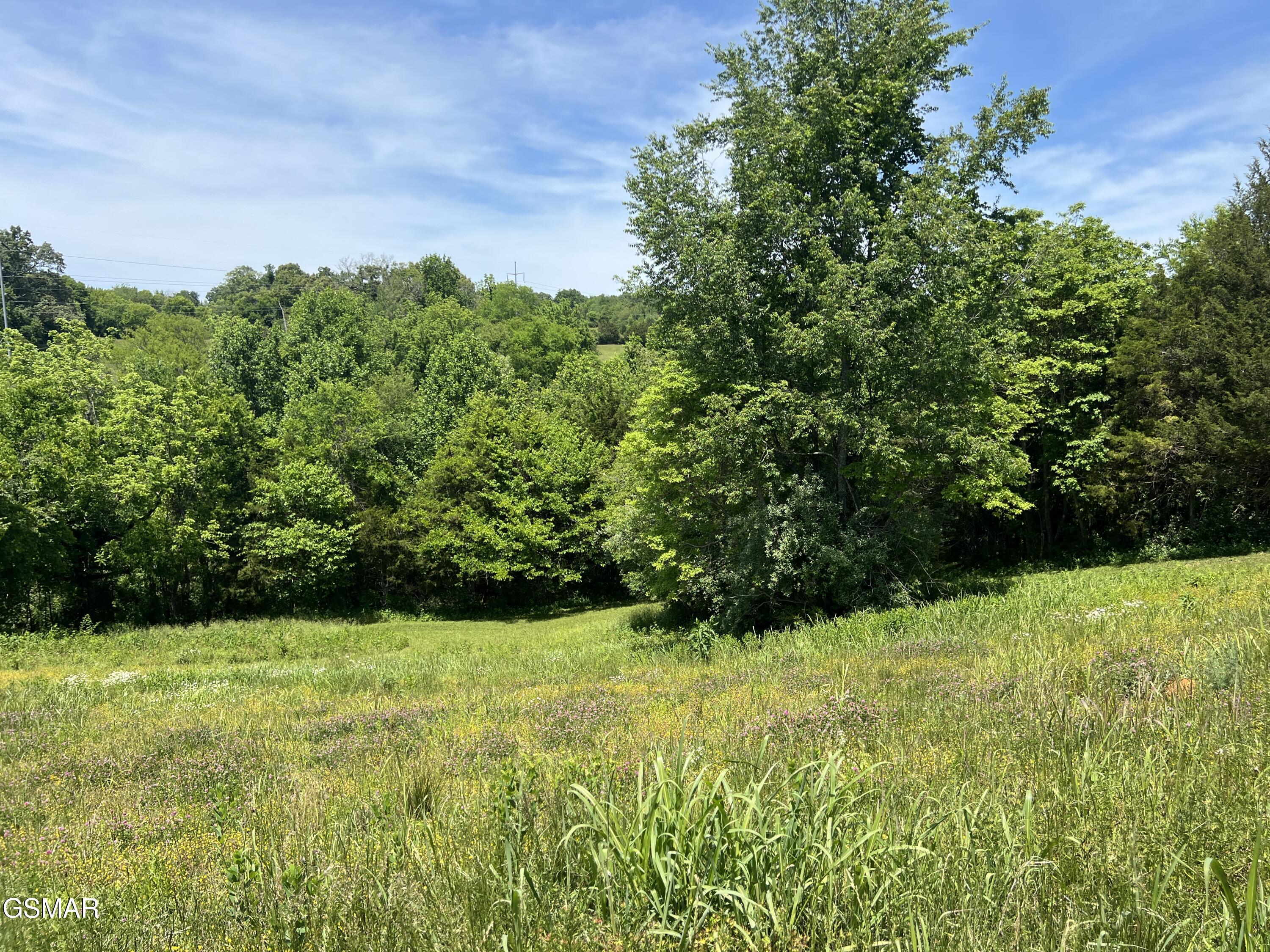 Lt 4c Wilson Road Sevierville TN 37862
