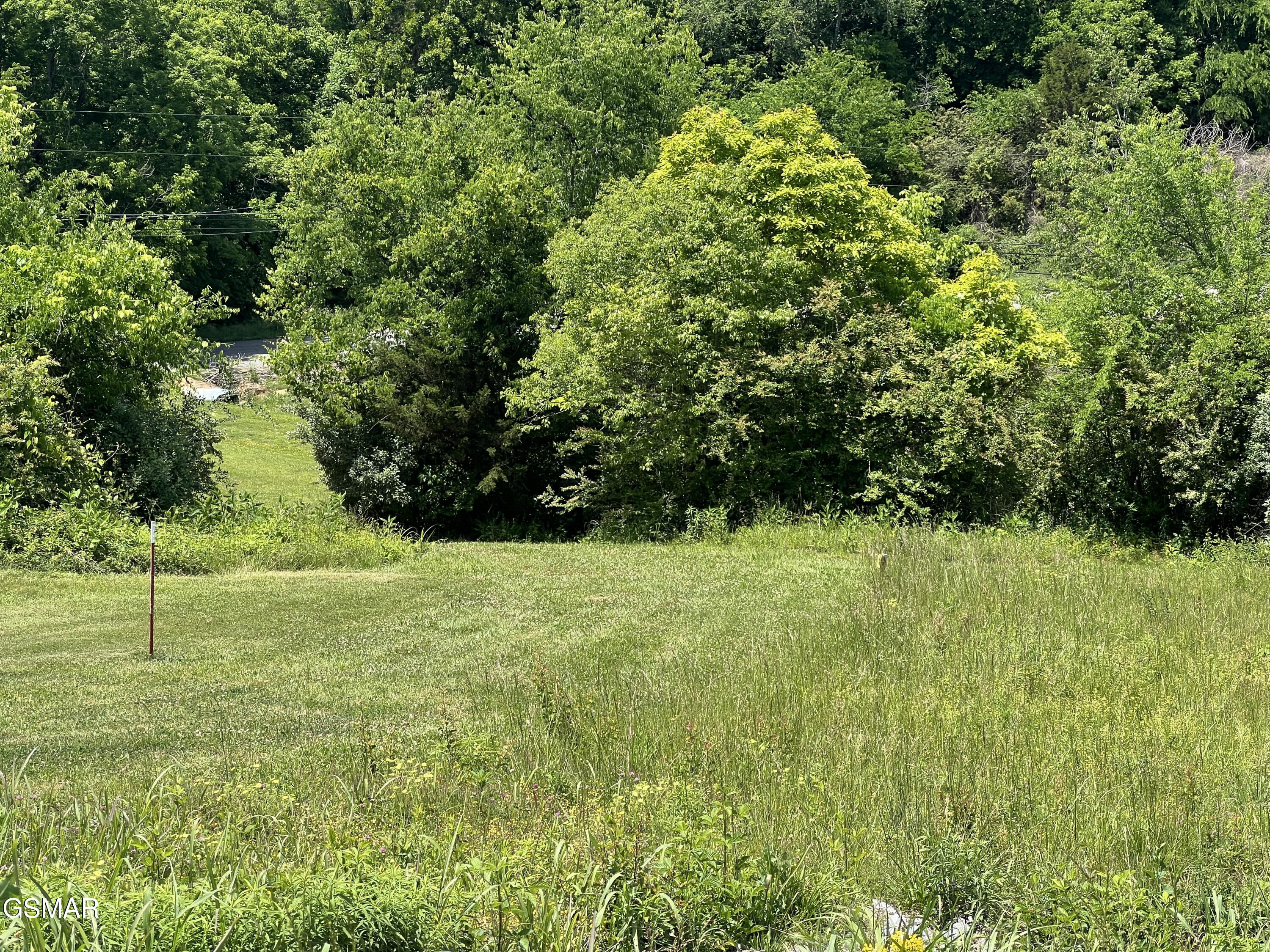 Lt 4c Wilson Road Sevierville TN 37862